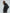 CELINE - PLONGE NAPPA LEATHER AVIATOR BOMBER 