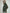 CELINE - PLONGE NAPPA LEATHER AVIATOR BOMBER 