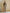 Shop The Look - Phebe Beige and Jodie Beige 